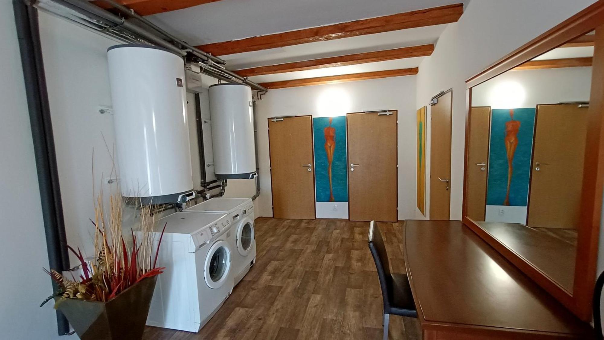 Apartments Gato Karlovy Vary Dalovice Εξωτερικό φωτογραφία