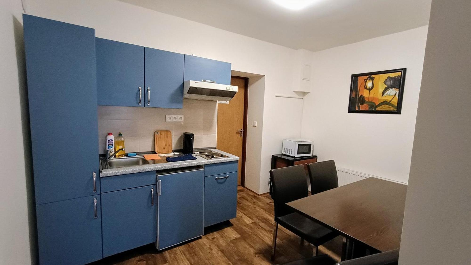 Apartments Gato Karlovy Vary Dalovice Εξωτερικό φωτογραφία